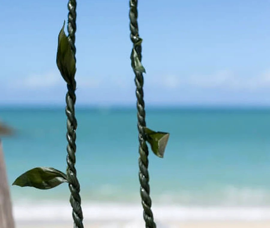 Braided green ti leaf lei